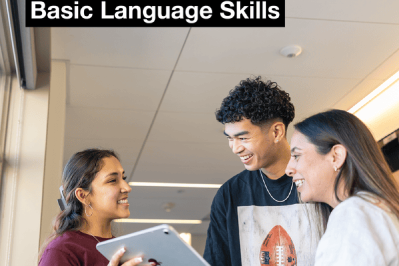 Learn English Now: Basic Language Skills