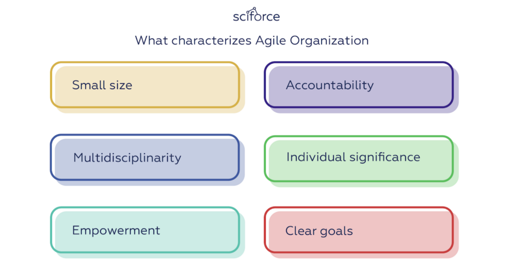 agile organization