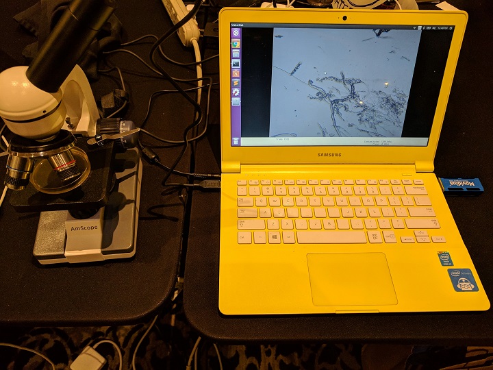 Microscope, laptop, and compute stick