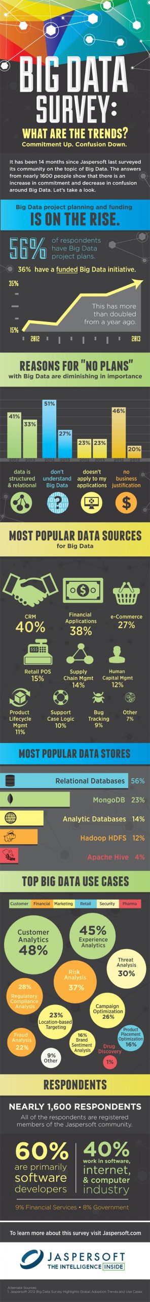 What Are The Trends: Big Data Survey - Infographic
