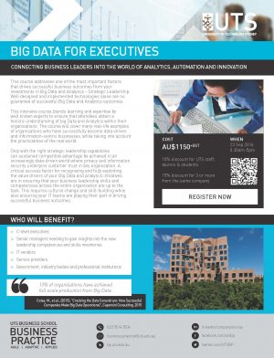 big_data_for_executives_-_final_v_2_Page_1