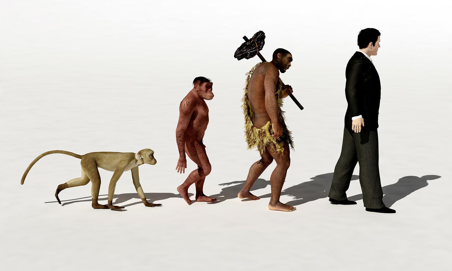 Эволюция обезьяны в человека