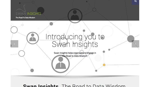Swan Insights is a Big Data Service Consultancy