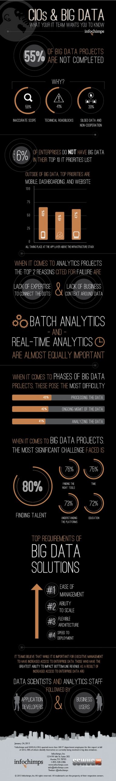 CIO Big Data