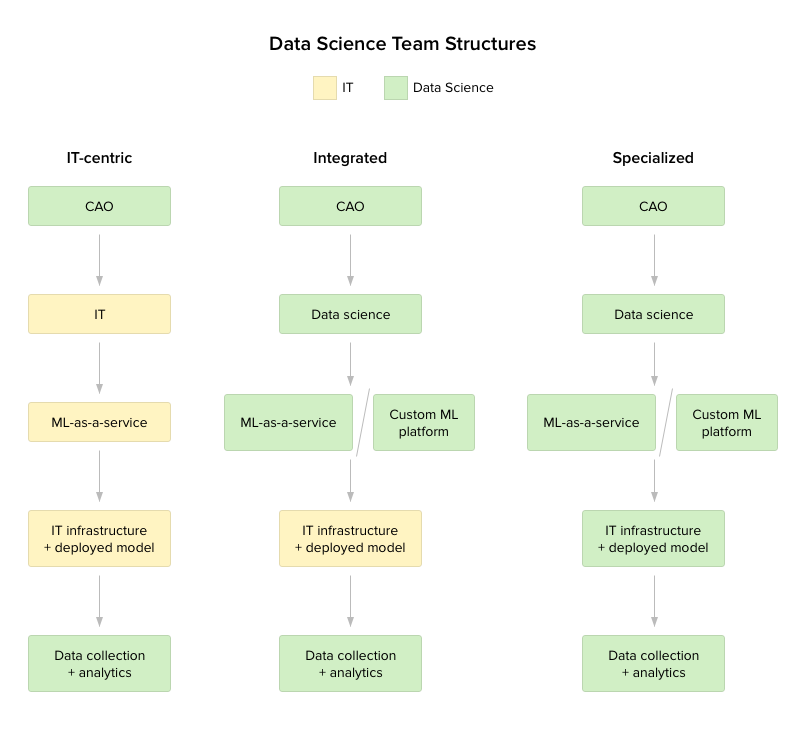 Data-science-team-structures