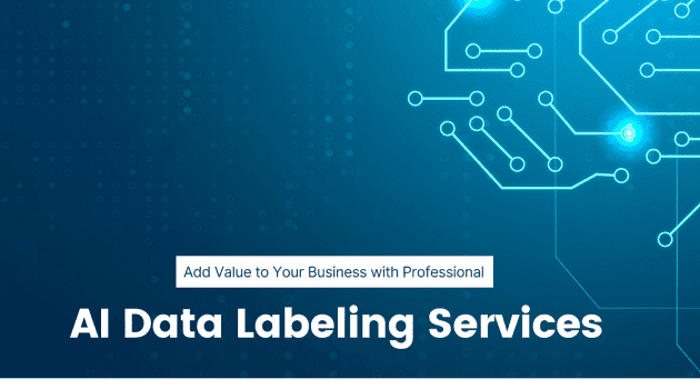 Add Value to Your Business with AI Data Labeling