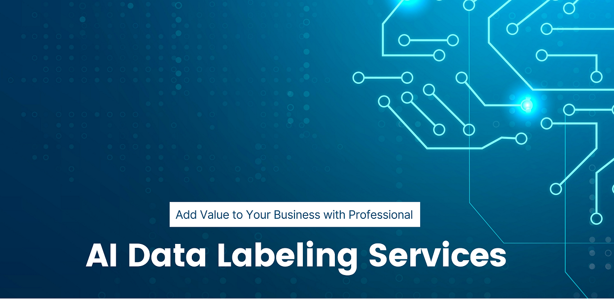 Add Value to Your Business with AI Data Labeling | Datafloq