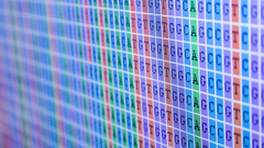 Bioinformatic Methods II