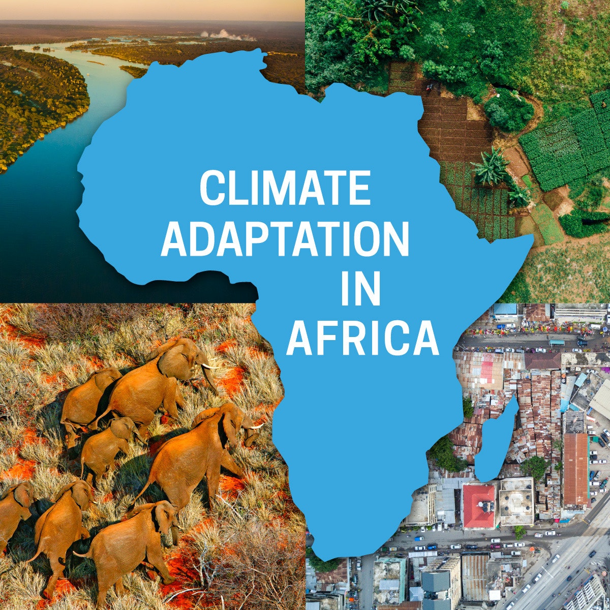 Climate Adaptation in Africa | Datafloq