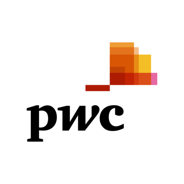 data analysis and presentation skills the pwc approach specialization