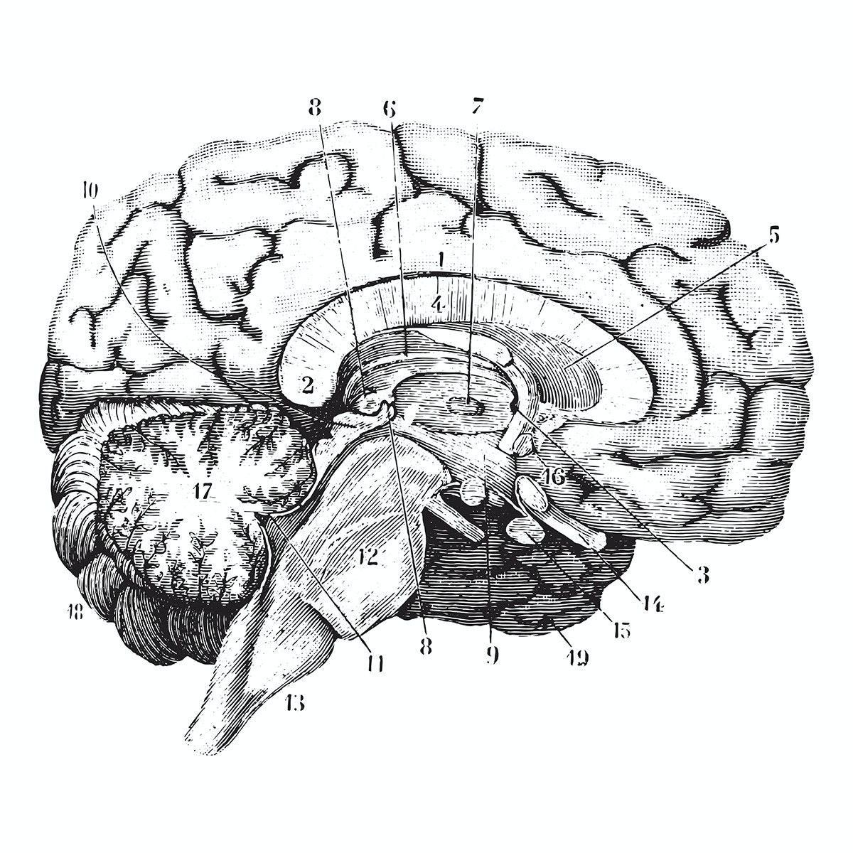 philosophy-of-science-datafloq