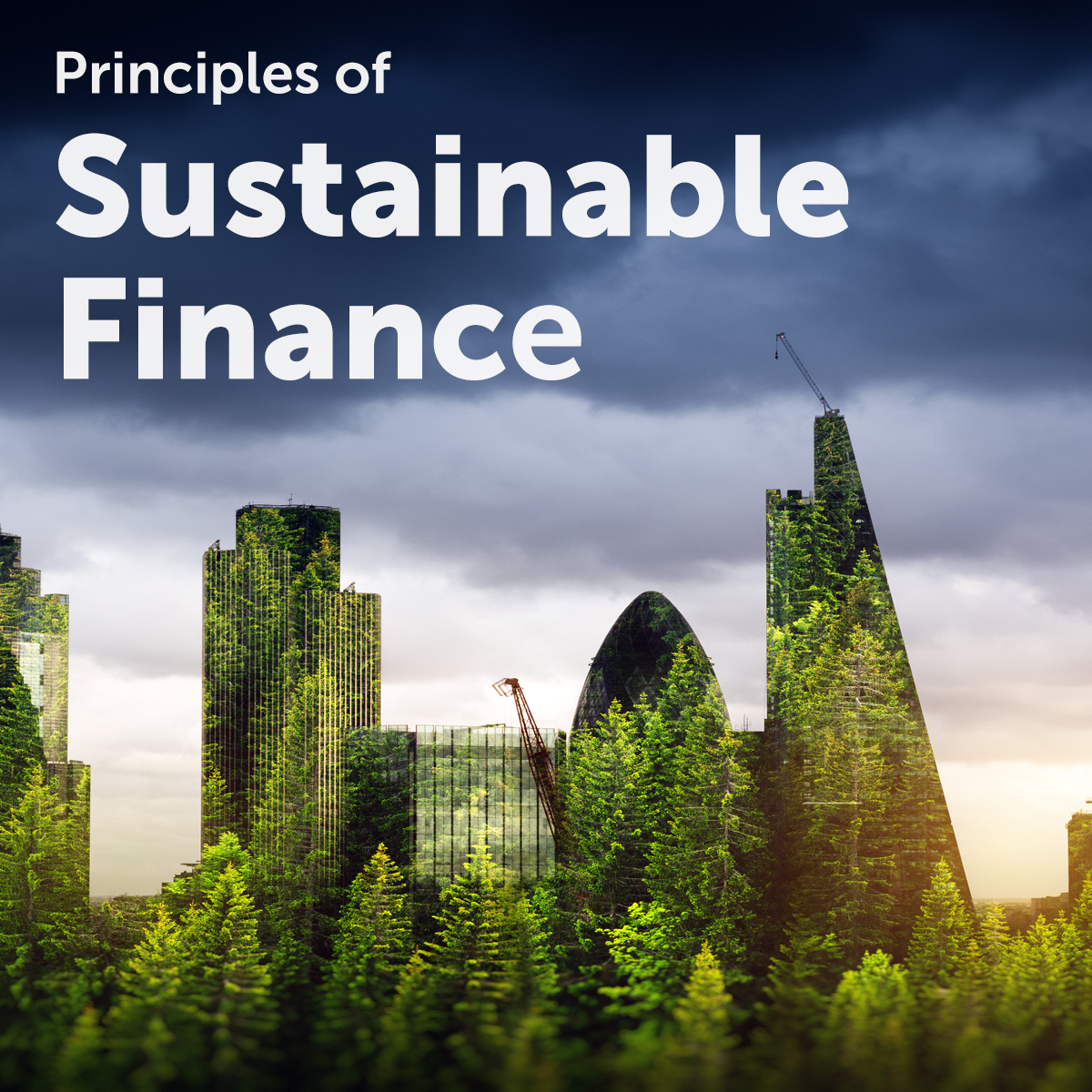 case study sustainable finance