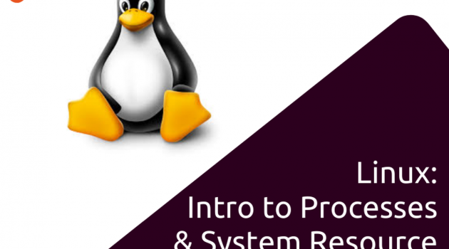 Linux: Processes & System Resource Management for DevOps