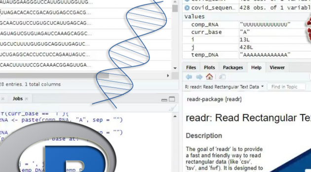 Reverse and complement nucleic acid sequences (DNA, RNA) using R