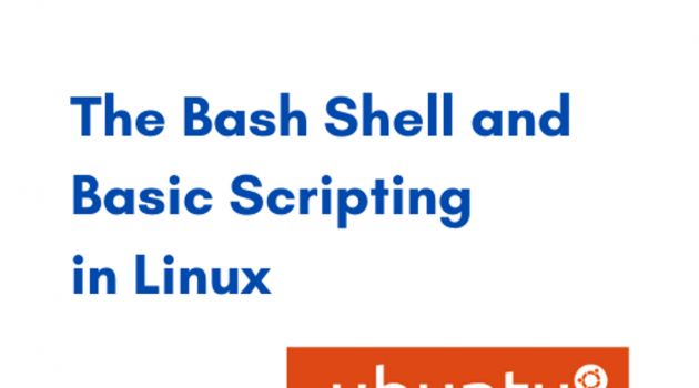 The Bash Shell and Basic Scripting in Linux
