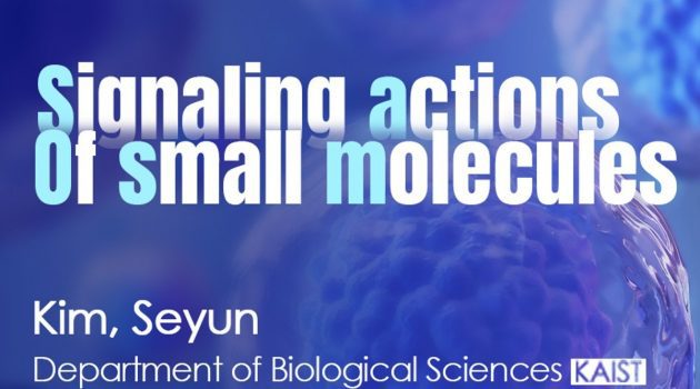 Signaling actions of small molecules