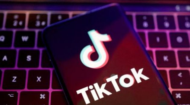 TikTok Lite's reward programme may be suspended in Europe, EU regulators say